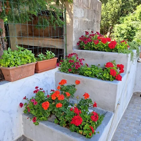 Apartman Domus De Sole *