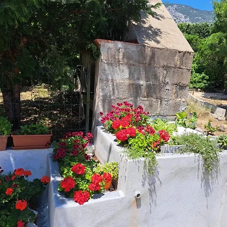Domus De Sole Apartman *